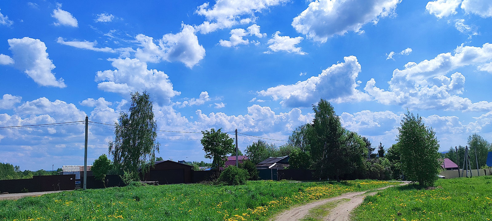 Княжево поле8