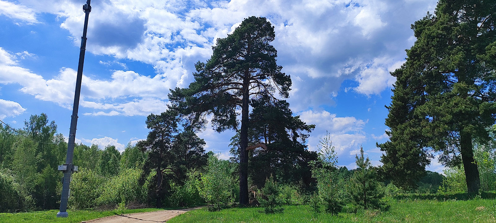 Княжево поле13
