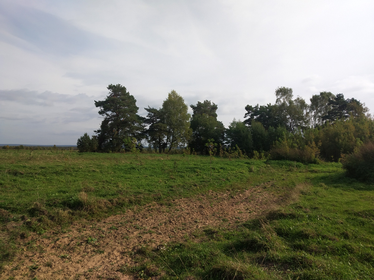 Княжево поле1