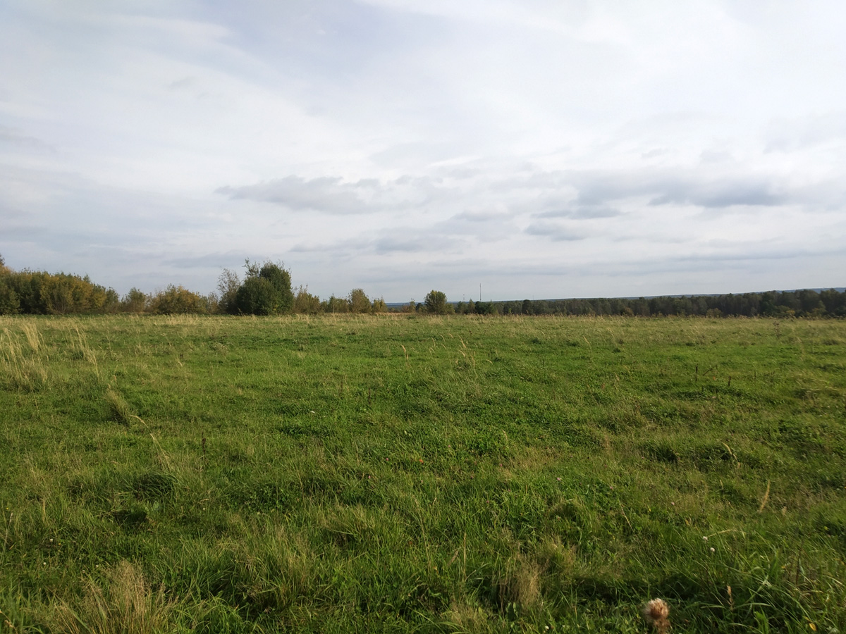 Княжево поле4